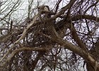DSC00010