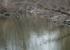 DSC00012