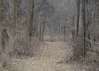 DSC00014