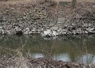 DSC00021