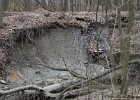 DSC00029