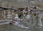 DSC00042
