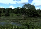 HDR_Swamp_1