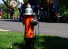 DSC03533