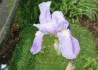P1020617