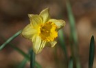 DSC00283