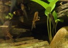 DSC00307