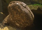 DSC00329