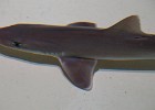 DSC04322