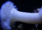 DSC04328