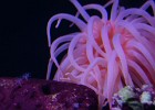 DSC04336