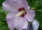 DSC02490