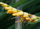 DSC01746