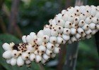 DSC01748