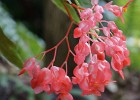 DSC01750